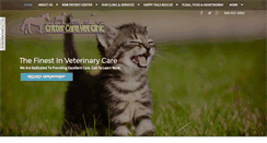 Desktop Screenshot of crittercarechildress.com